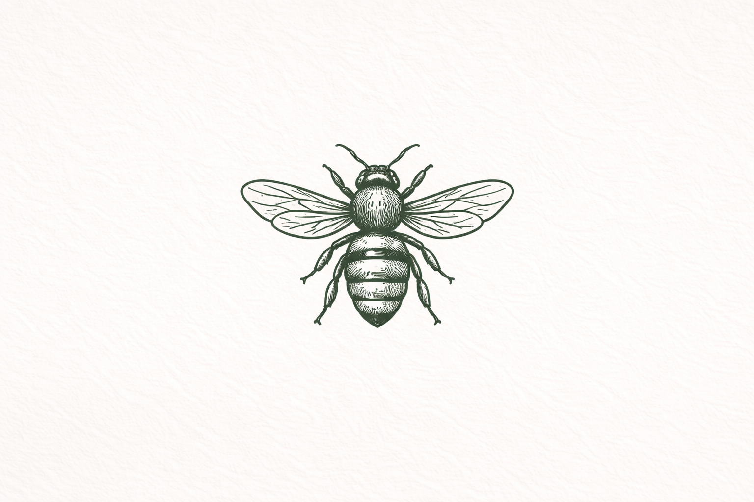 Field & Found brand system image 04