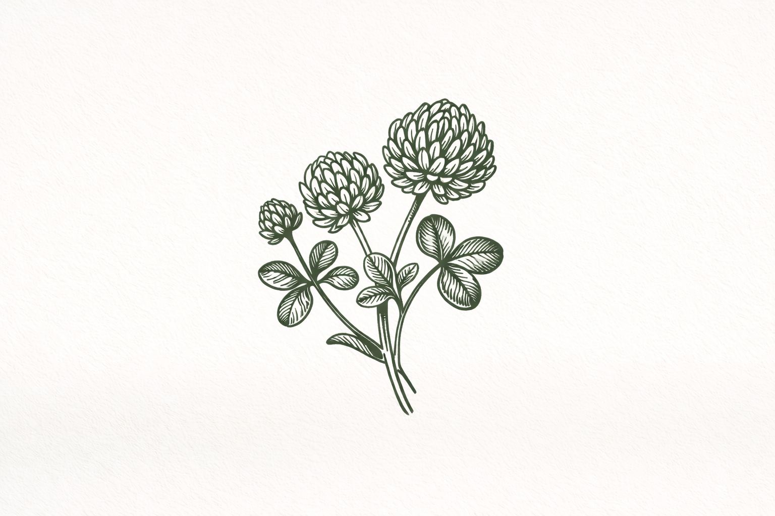 Field & Found brand system image 05